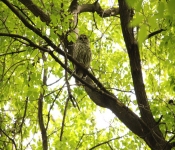 FortSnelling 2014 05 24 002